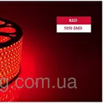 Светодиодная лента ULS-5050-60LED/m красный