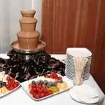  Шоколадный фонтан в Миргороде.