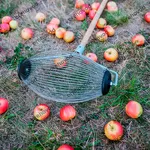 Ролл для сбора яблок