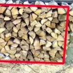 Лесхоз с Полтавской области реализует колотые дрова разных пород