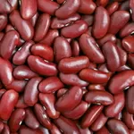 Високоякісна квасоля оптом