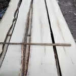 дошка липи гатунок А ,  від однієї чистої плахи з двух сторін шир 100мм довжиною до 3000 мм. Від 20м.куб.