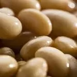 Купуємо квасолю на переробку,  консервування. 