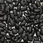 Квасоля Шоколадниця,  Ліма,  Кофейка,  Солдатик та ін