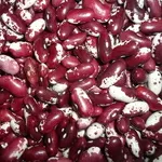 Квасоля на продаж. Різні сорти в асортименті