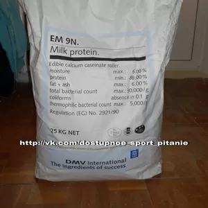 Казеин молочный протеин ЕМ 9N Голландия (Белки – 93%)