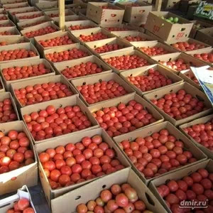 Доставка овощей и фруктов в Полтаве