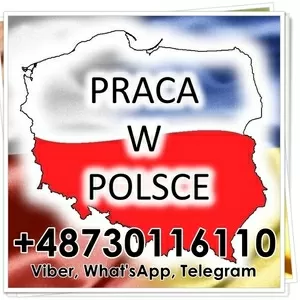 Pобота в Польщi,  oфiцiйнo,  для чолoвiкiв та жiнoк.