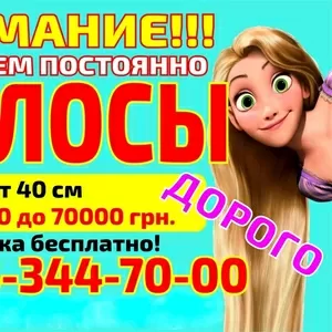Куплю волосы в Полтаве Скупка волос Украина Без посредников