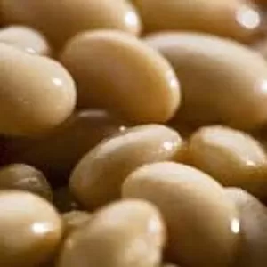 Купуємо квасолю на переробку,  консервування. 