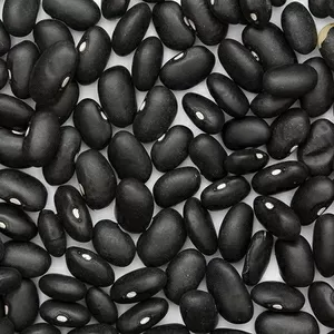 Квасоля Шоколадниця,  Ліма,  Кофейка,  Солдатик та ін