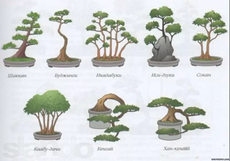 Искусственные деревья бонсай. Сосна,  лиственные,  бисерные 2
