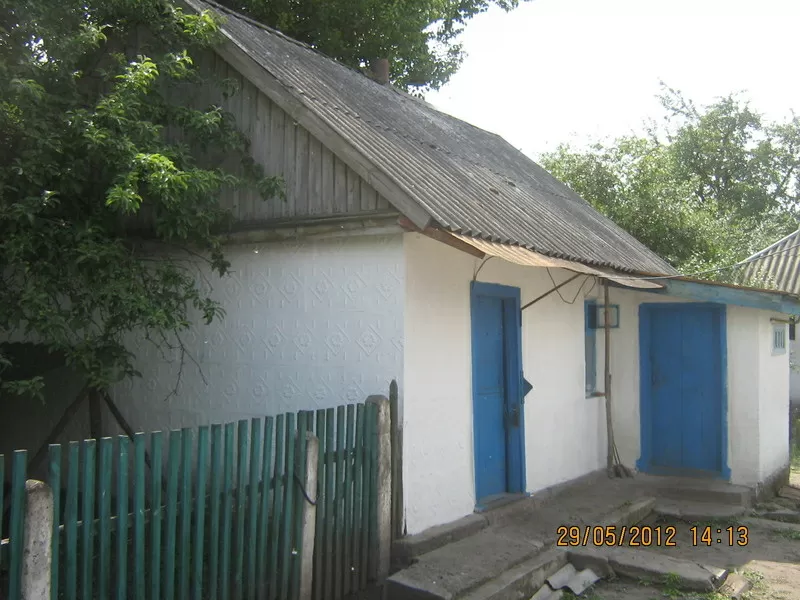 Продается газифицированный дом в селе Мушты Решетиловского района. Ого 3