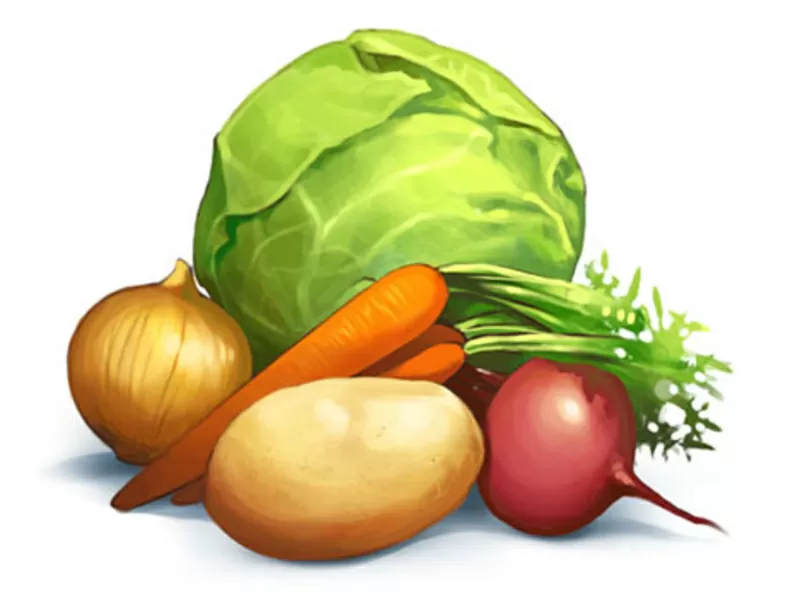 Продажа свеклы,  капусты,  моркови оптом в Украине,  оптовая цена на овощ