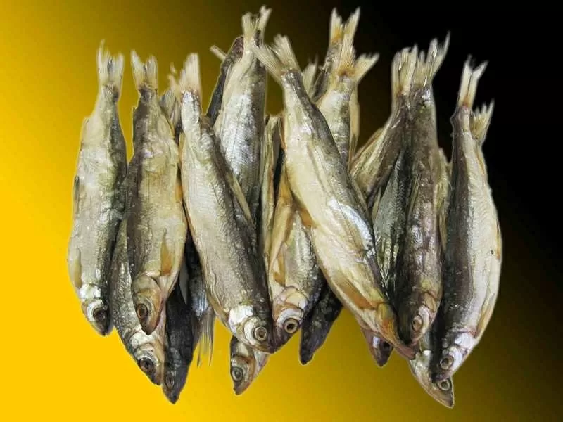 Продаем Рыбу с/м х/к вяленая,  сушеная ОПТ+Розница 3