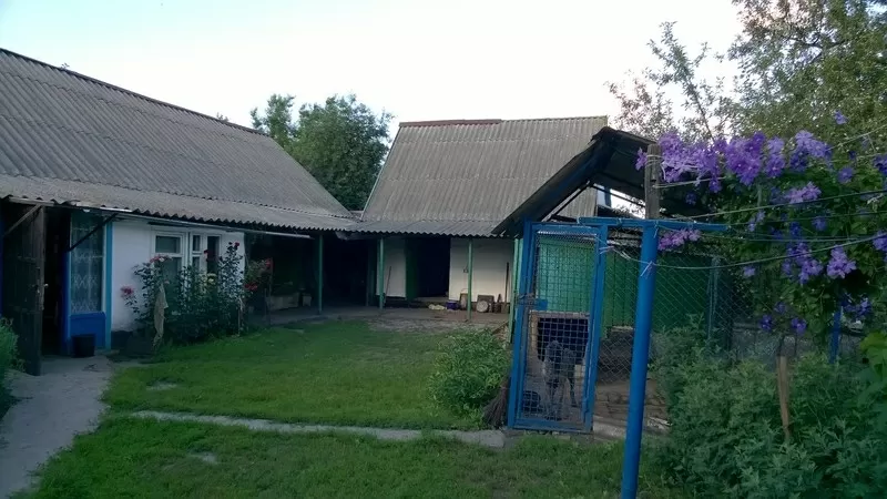 Дом с постройками+1га вдоль трассы Киев-Харьков, возле Решетиловка 6