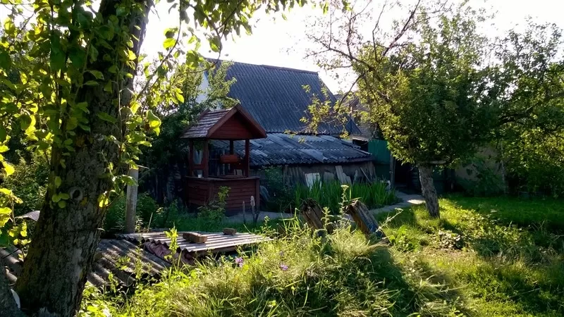 Дом с постройками+1га вдоль трассы Киев-Харьков, возле Решетиловка 5