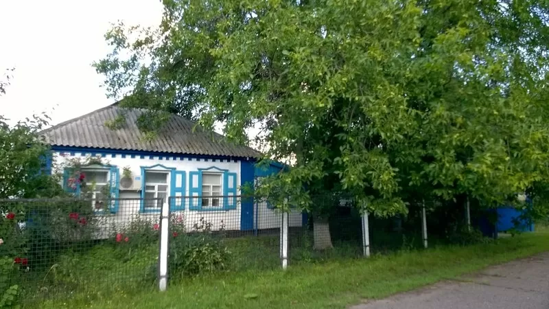 Дом с постройками+1га вдоль трассы Киев-Харьков, возле Решетиловка 2