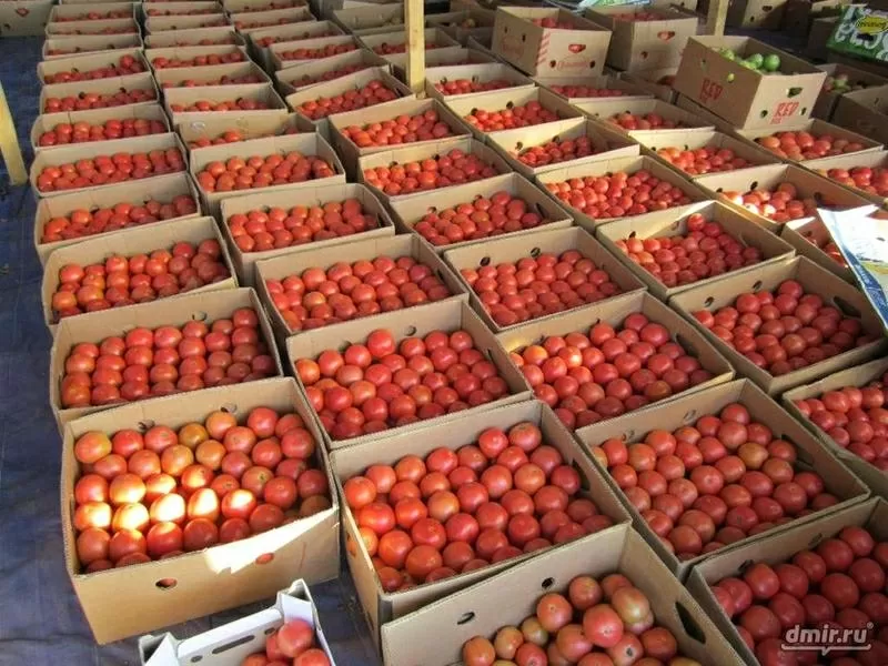 Доставка овощей и фруктов в Полтаве