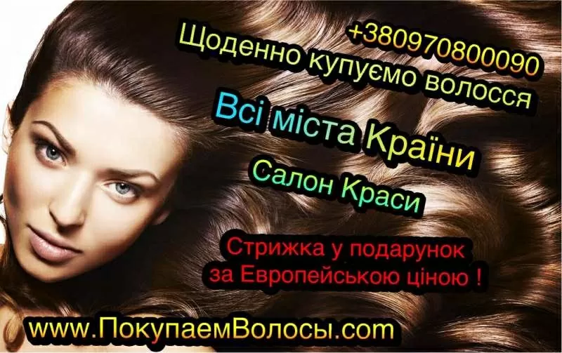 Скупка волос дорого в Украине 2