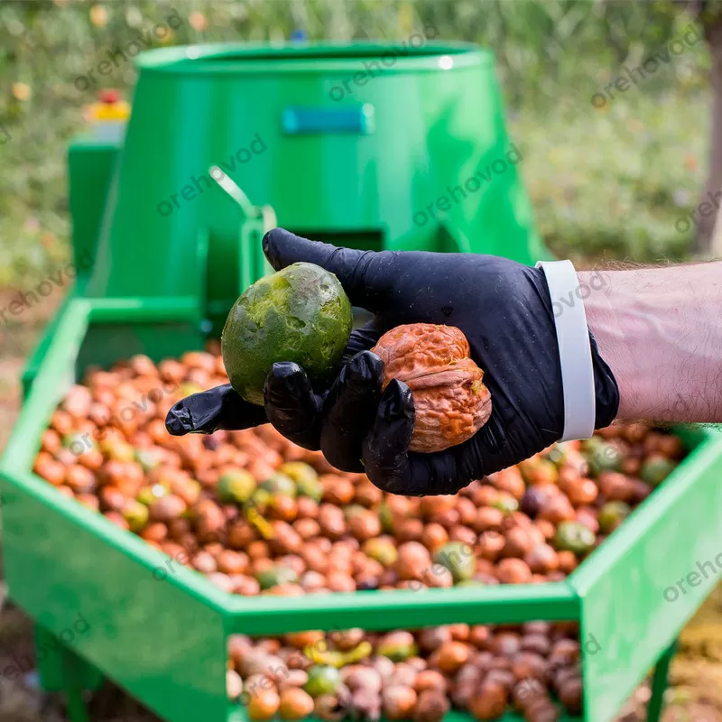 Очищувач волоського горіха від зеленої шкірки (700 кг / год) 2