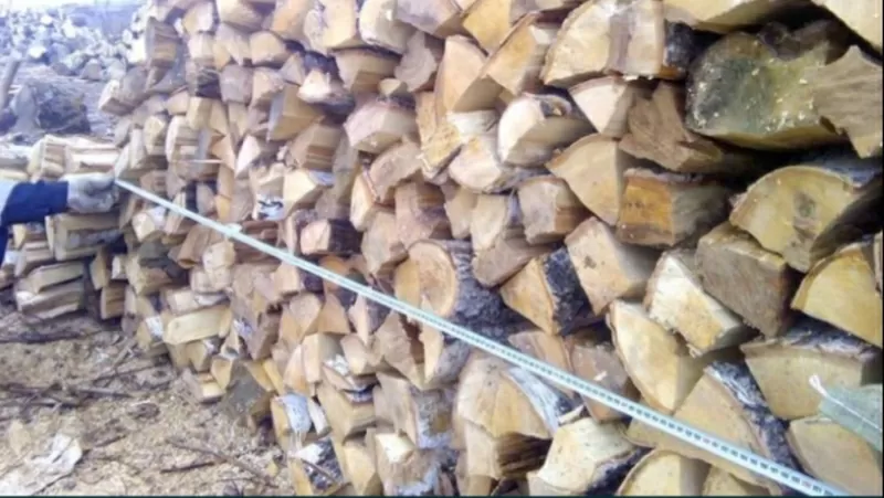 Лесхоз Полтавской области реализует с доставкой дрова колотые 3