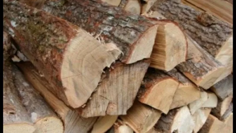 Колотые дрова разных пород от 5м3 от Лесхоза с Полтавской области 3