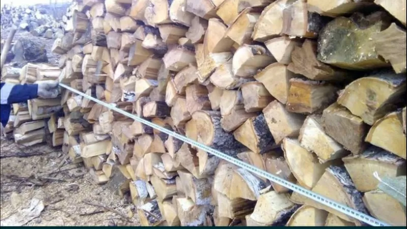 Отборные колотые дрова разных пород от 5м3 Лесхоза Полтавской области 3