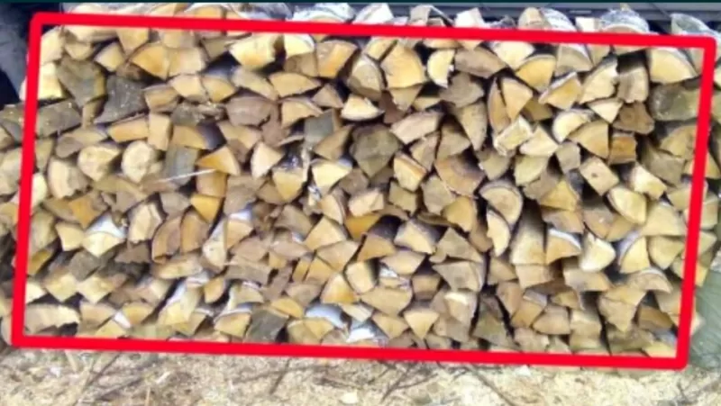 Колотые дрова разных пород. Доставка от Лесхоза из Полтавской области  3