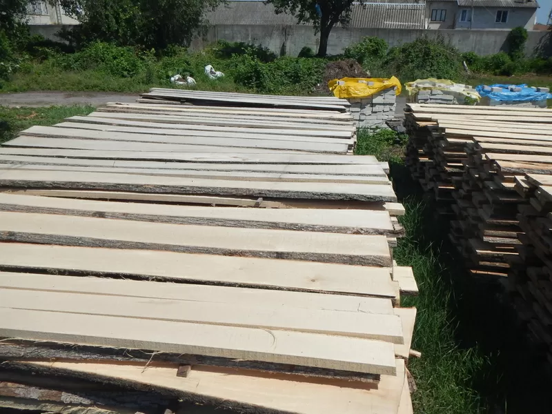 дошка липи гатунок А ,  від однієї чистої плахи з двух сторін шир 100мм довжиною до 3000 мм. Від 20м.куб. 5