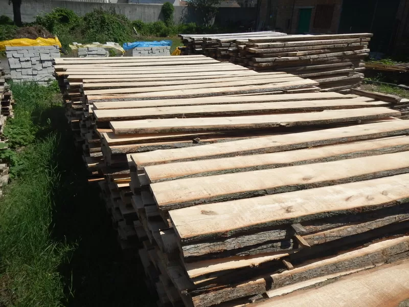 дошка липи гатунок А ,  від однієї чистої плахи з двух сторін шир 100мм довжиною до 3000 мм. Від 20м.куб. 7