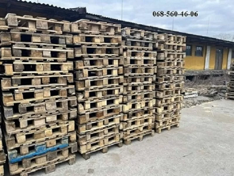 Куплю дерев'яні піддони бв всіх видів.