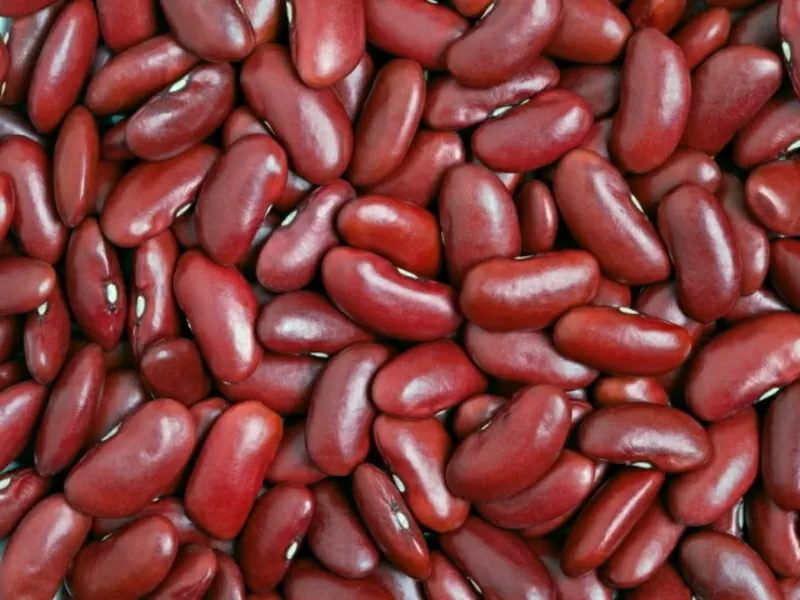 Високоякісна квасоля оптом