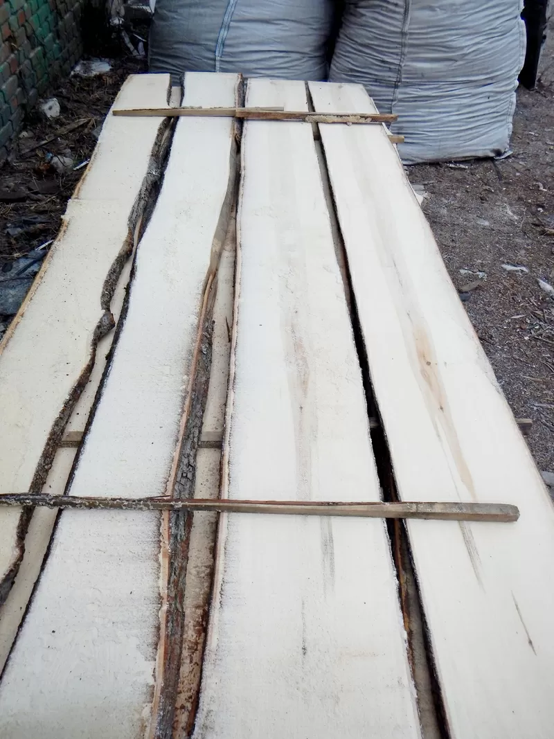 дошка липи гатунок А ,  від однієї чистої плахи з двух сторін шир 100мм довжиною до 3000 мм. Від 20м.куб.