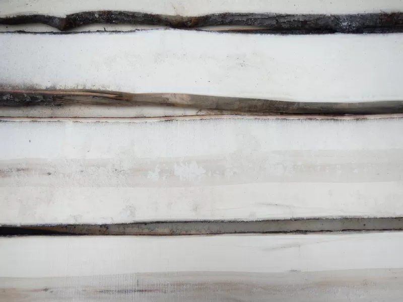 дошка липи гатунок А ,  від однієї чистої плахи з двух сторін шир 100мм довжиною до 3000 мм. Від 20м.куб. 4