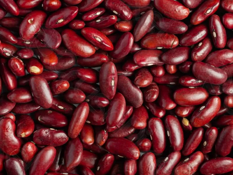 Реалізуємо сортову квасолю (більше 20 сортів)