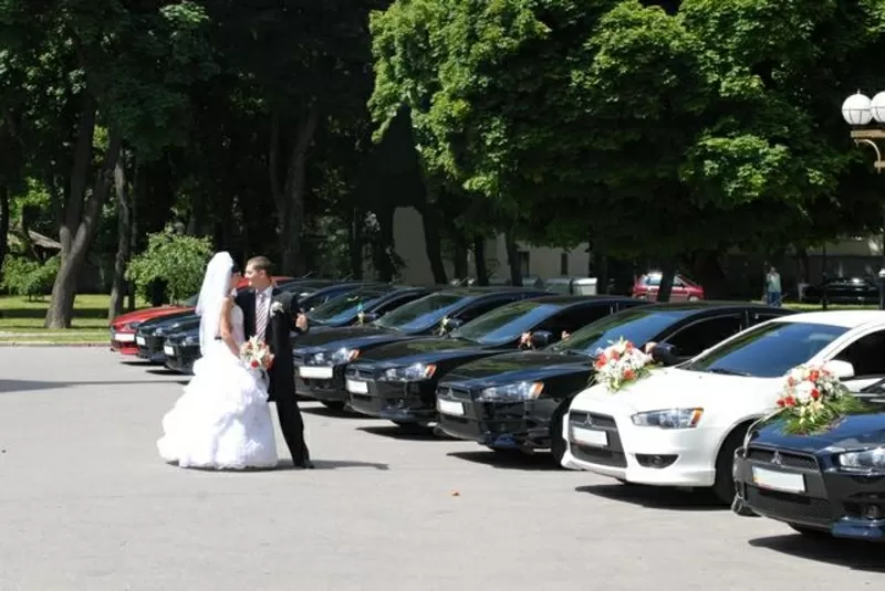 Авто на свадьбу,  свадебное авто с водителем,  свадебный кортеж,  аренда,  прокат,  Свадьба Полтава 2